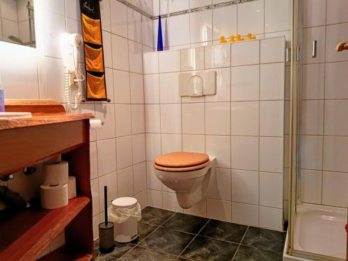 a bathroom with a toilet and a shower at Ferien am Schloss - Wohnung 3 "die Katze", Ferienwohnung am Badesee in Behren-Lübchin