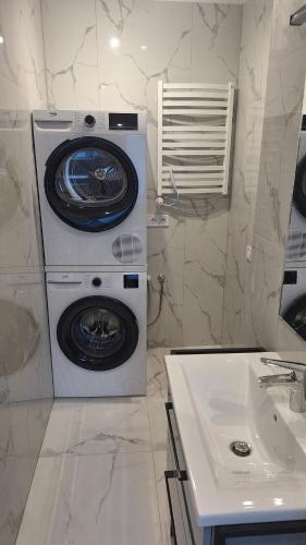 a washing machine in a bathroom next to a sink at Petite Haven in Grobiņa