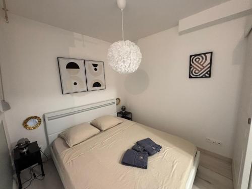 Reims hypercentre appartement cosy Erlon proche Cathédrale