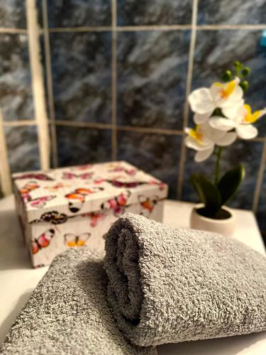 a bathroom with a gift box and a towel at Casa Kraljevo in Kraljevo