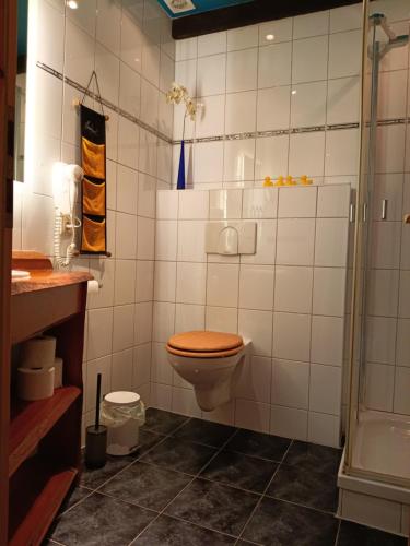 a bathroom with a toilet and a shower at Ferien am Schloss - Wohnung 4 "der Hund", Ferienwohnung am Badesee in Behren-Lübchin