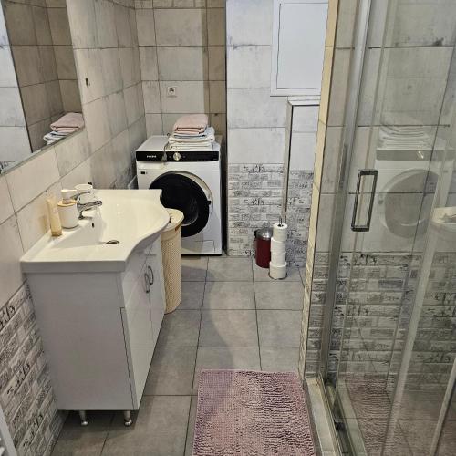 a bathroom with a sink and a washing machine at Iglovia apartman in Spišská Nová Ves