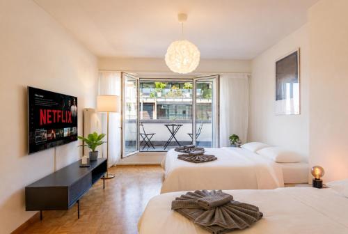 Penthouse with Two Balconies in the Heart of Basel
