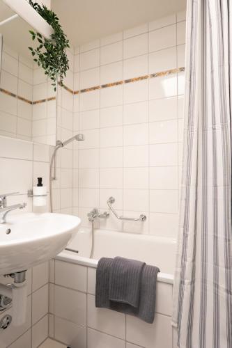 Penthouse with Two Balconies in the Heart of Basel