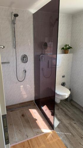 a bathroom with a shower and a toilet at Ferienwohnung in Zirchow