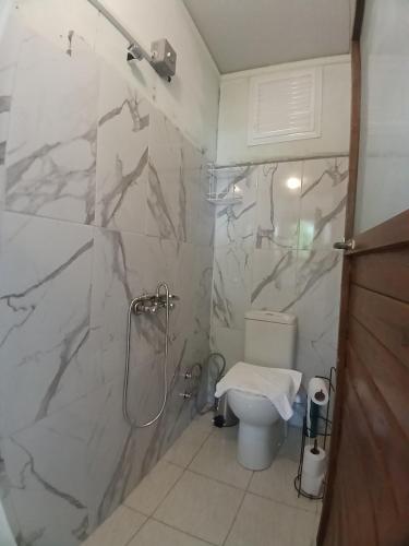 a bathroom with a shower and a toilet at Kalinka pansiyon in Cıralı