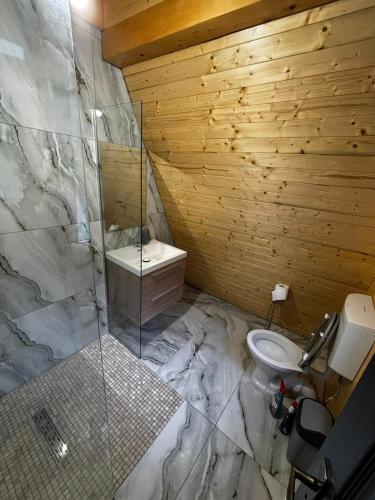 a bathroom with a glass shower and a toilet at Cabana La Poiata in Valea Chioarului