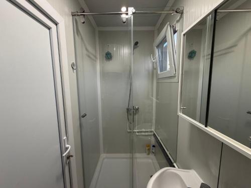 a bathroom with a shower and a toilet and a sink at Ailleurs in Novi Banovci