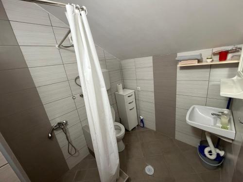 a bathroom with a shower and a toilet and a sink at Vila Jovicic in Popadić