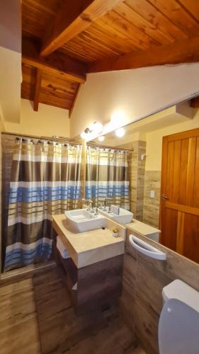 a bathroom with a sink and a toilet and a mirror at Apart Altos Del Nahuel in San Carlos de Bariloche