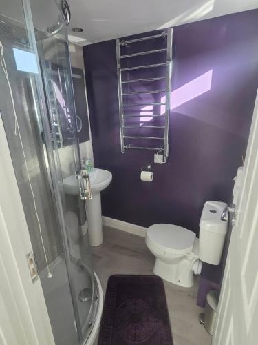 a purple bathroom with a toilet and a shower at Lownie lodge in Leysdown-on-Sea