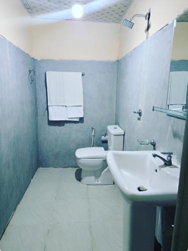 a bathroom with a white toilet and a sink at The Green Heritance in Habarana