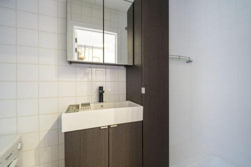 a bathroom with a sink and a mirror at Cozy duplex apartment with free parking in Leuven