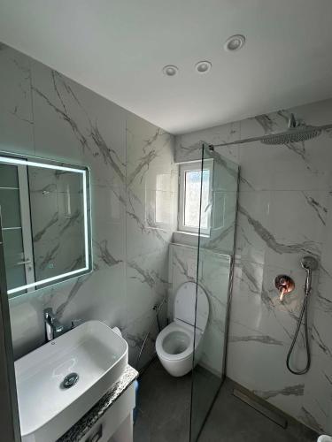 a bathroom with a shower and a toilet and a sink at Oliver Studios in Ksamil