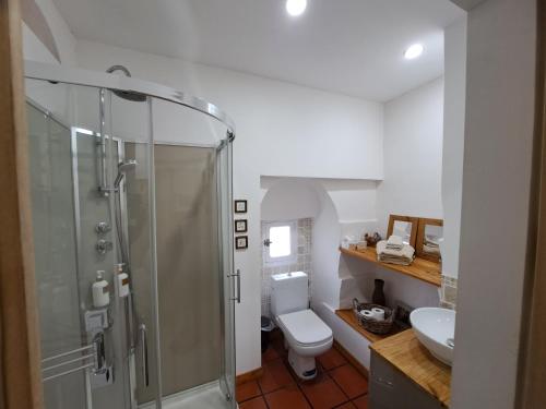a bathroom with a shower and a toilet and a sink at La Maison du Canal - Canal Studio in Homps