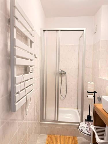 a bathroom with a shower and a sink at EBRAM II Apartments Görlitz in Görlitz