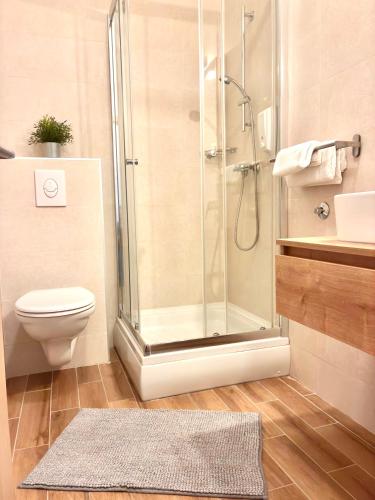 a bathroom with a shower and a toilet and a sink at Lenka Apartments I in Novalja