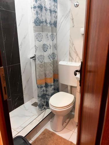 a bathroom with a toilet and a shower at Musical Pansion Radgost, Rtanj in Rtanj