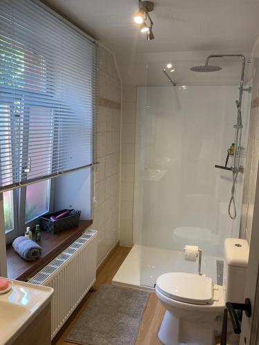 a bathroom with a shower and a toilet and a tub at Au fil de la Semois in Bohan