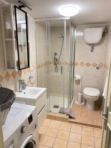 a bathroom with a shower and a toilet and a sink at Appartamento Catini 67 in Civitavecchia