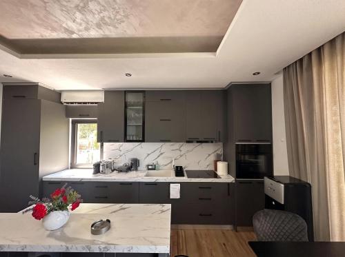 a kitchen with a sink and a counter top at Villa Dobric Apartments in Kavač