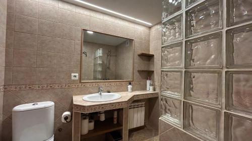 a bathroom with a sink and a toilet and a mirror at Casa Rural GABARDA in Aso de Sobremonte