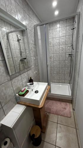 a bathroom with a sink and a shower at Gite du Tacot 21 in Saulieu