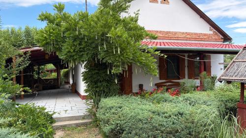 a tree in front of a house at Dobó Tanya in Röszke