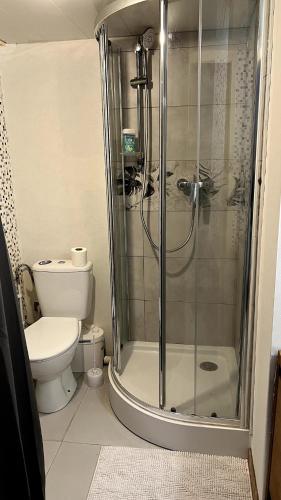 a bathroom with a shower and a toilet at Maison 2 couchages - parking in La Chaussée-sur-Marne