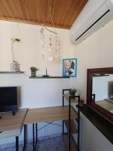 Mytilene Downtown Penthouse