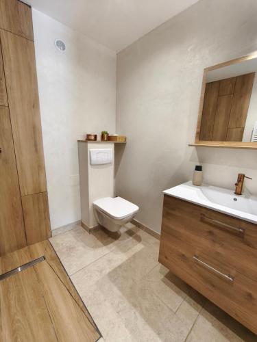 a bathroom with a toilet and a sink at Six Duplex à la montagne POMPIERY in Seyne