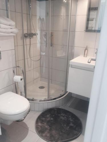 a bathroom with a shower and a toilet and a rug at La maison spacieuse et confortable in Deauville