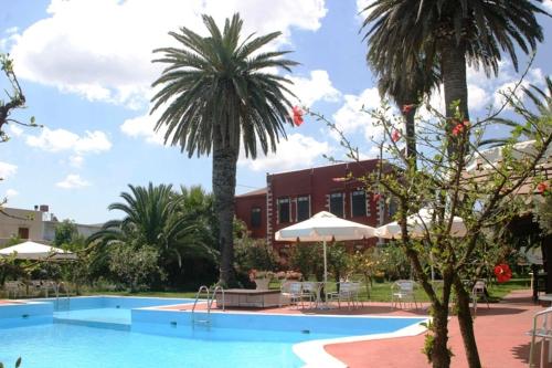 a swimming pool with palm trees and a building at Oasis Guesthouse in Chania Town