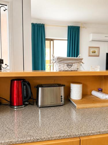 a kitchen with a counter top with a toaster and a microwave at Blossom Apartment Kos in Ampavris
