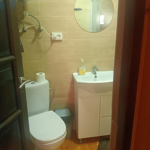 a bathroom with a toilet and a sink and a mirror at Liepsna Šventoji in Šventoji