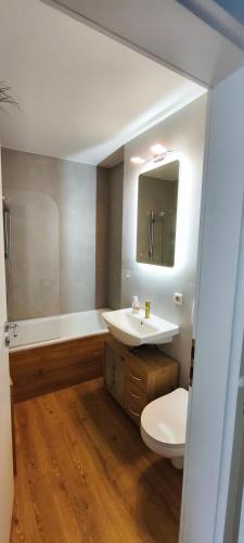 a bathroom with a sink and a toilet and a mirror at FeWo-Misterek nähe Großer Garten in Dresden