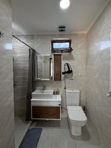 ein Badezimmer mit Toilette und Waschbecken in der Unterkunft Hotel Vardzia K A L A in Aspindza
