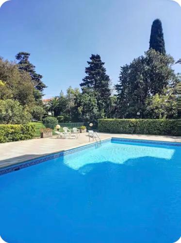 Studio piscine jardin