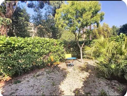 Studio piscine jardin