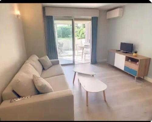Studio piscine jardin