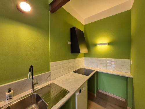 a kitchen with green walls and a sink at Podere Vallescaia - Agriturismo Bella Valle in Marina di Cecina