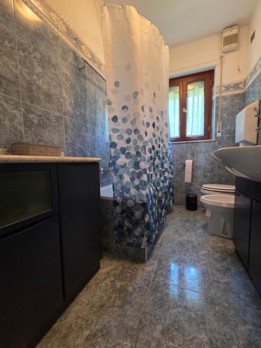 a bathroom with a shower and a sink and a toilet at Piccola Stella in Moggio Udinese
