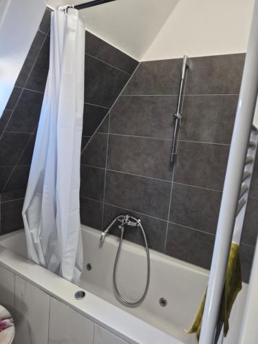 a shower in a bathroom with a tub at Nektarios Bulus in Kernen