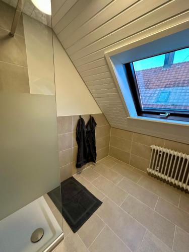 a attic bathroom with a window and a walk in shower at FeWo Ruf in Sasbach am Kaiserstuhl