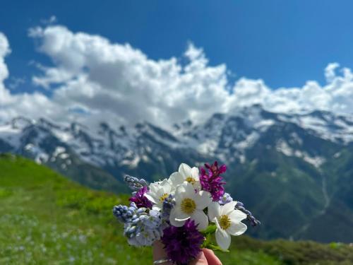 a hand holding a bouquet of flowers on a mountain at guesthouse twins in svaneti in Mestia
