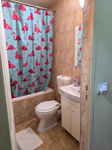 a bathroom with a toilet and a shower curtain at Pensiunea Armand in Supuru de Jos