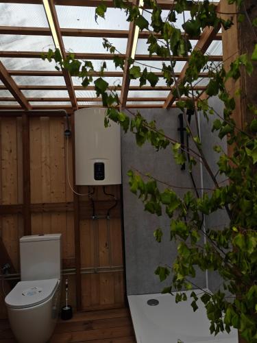 a bathroom with a toilet in a building at AVOTUPJI GLEMPING telts in Allaži