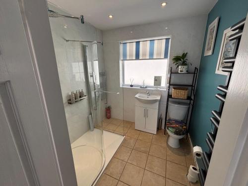 a bathroom with a shower and a toilet and a sink at Cerrig in Llangollen