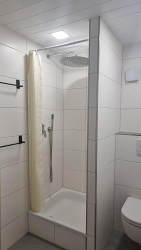 a bathroom with a shower and a toilet at Appartment Auszeit in Schönwald