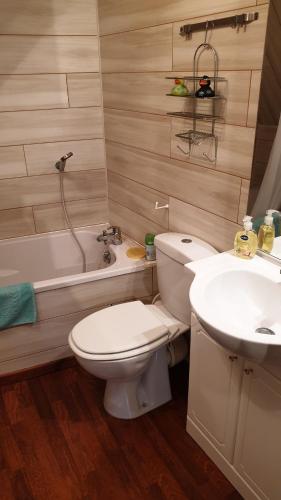 a bathroom with a white toilet and a sink at Gîte La Salamandre in Passenans
